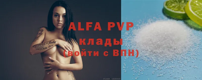 дарк нет как зайти  Красавино  Alpha PVP СК  MEGA рабочий сайт 